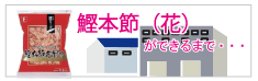 削り節工場見学