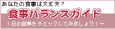 食事バランスガイド