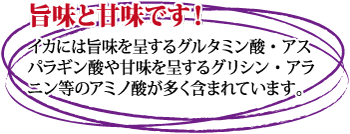 素材調味だし 烏賊の旨み