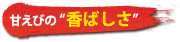 甘えびの香ばしさ